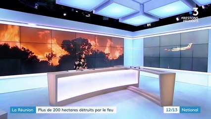 La Réunion : plus de 200 hectares partent en fumée