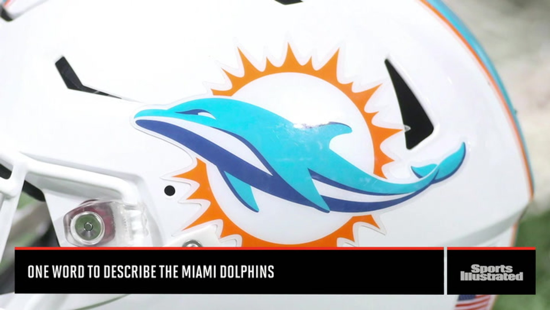 Describe the Miami Dolphins in One Word - video Dailymotion