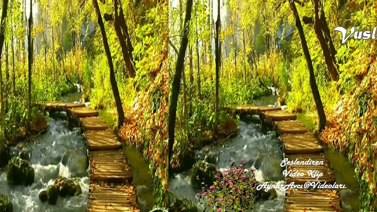 Vuslat** Seslendiren Video Klip** Aynur AVCI