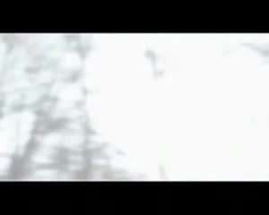 Barbara Auer & Sebastian Koch "In jeder Sekunde" (Deutscher Trailer)