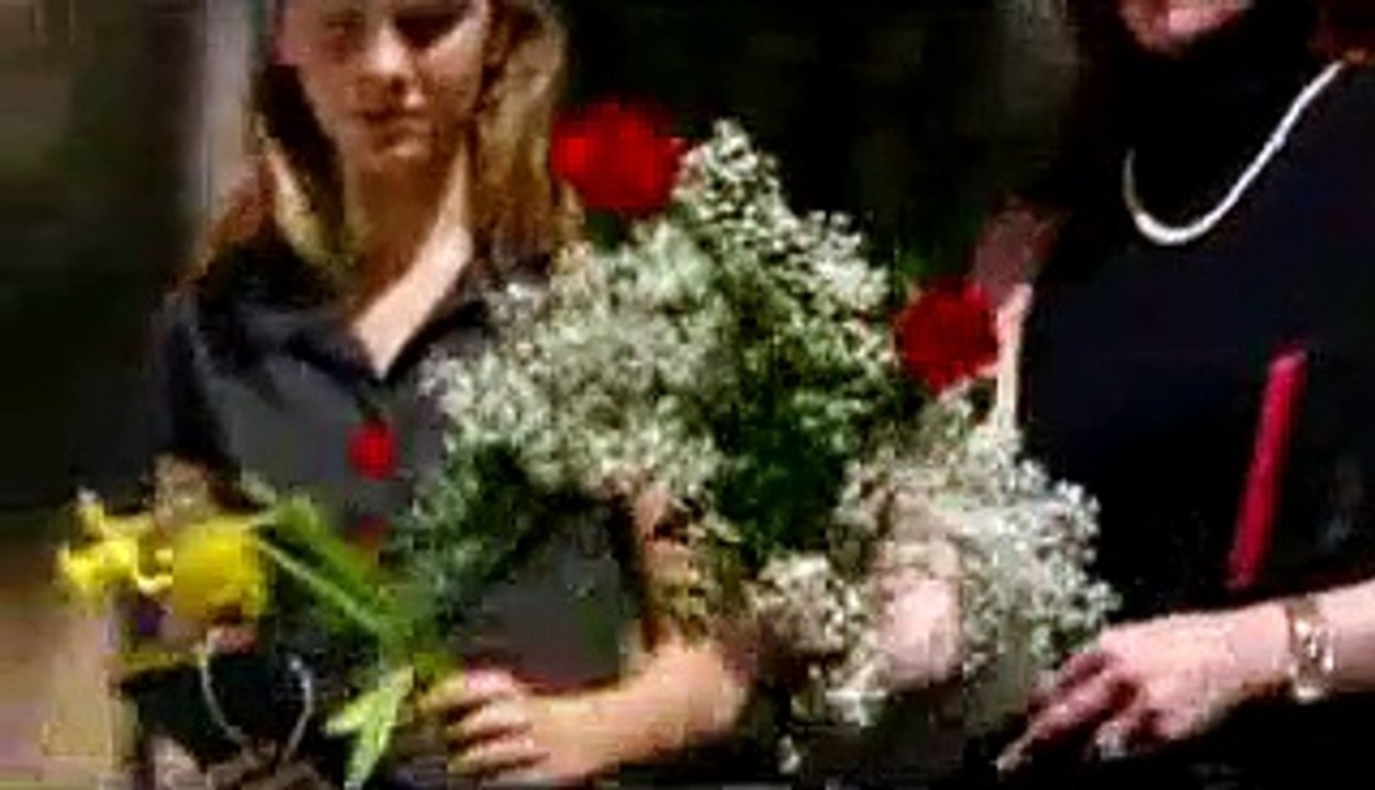 Safe Harbour (Trailer, engl)