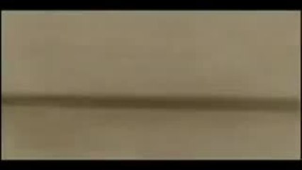 Machan - Official Trailer 🎬