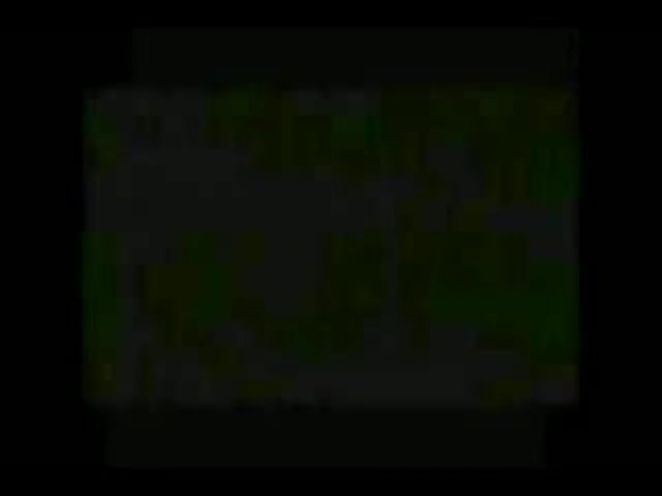 Father Of The Bride Recut