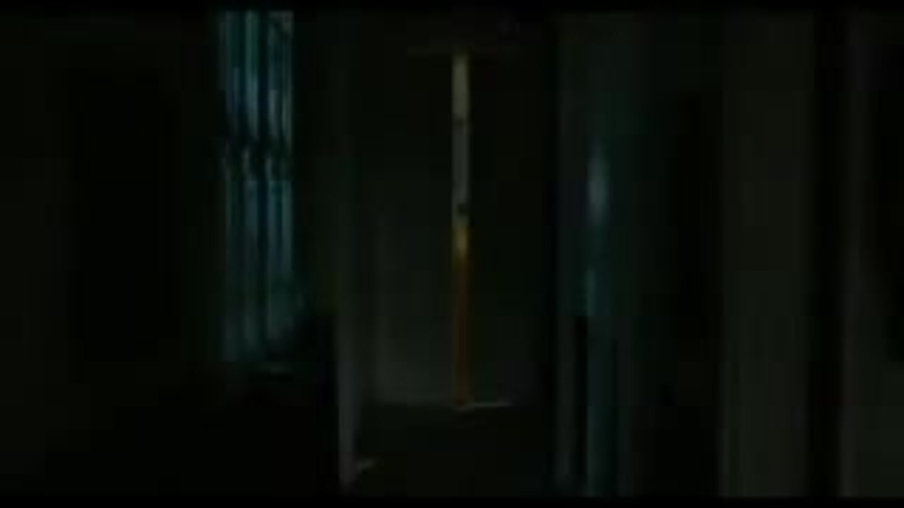 Die Frau des Anarchisten Trailer