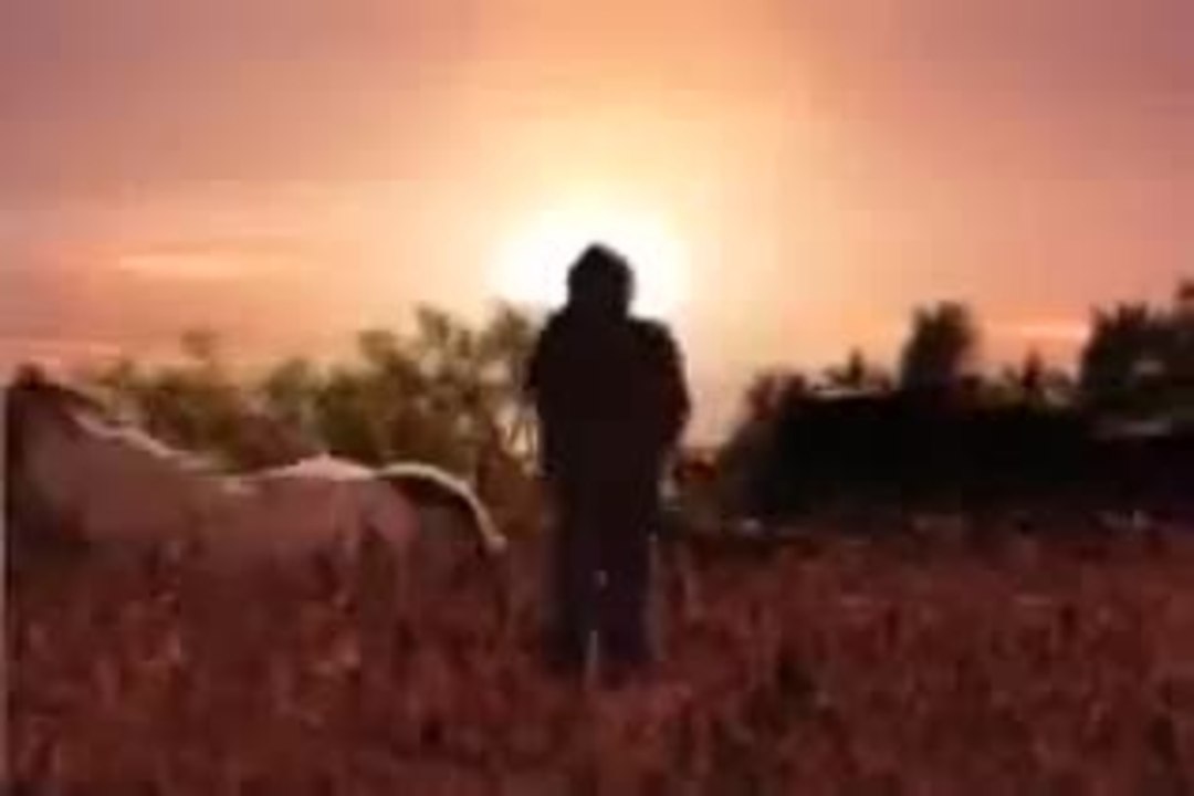 Gael Garcia  - Quiero que me quieras ( soundtrack rudo y cursi)