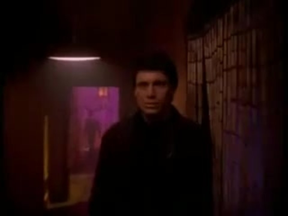 Snap dragon Cheongsam Scene