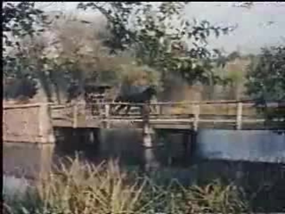 Anthony Perkins 'Friendly Persuasion' (1956)- trailer