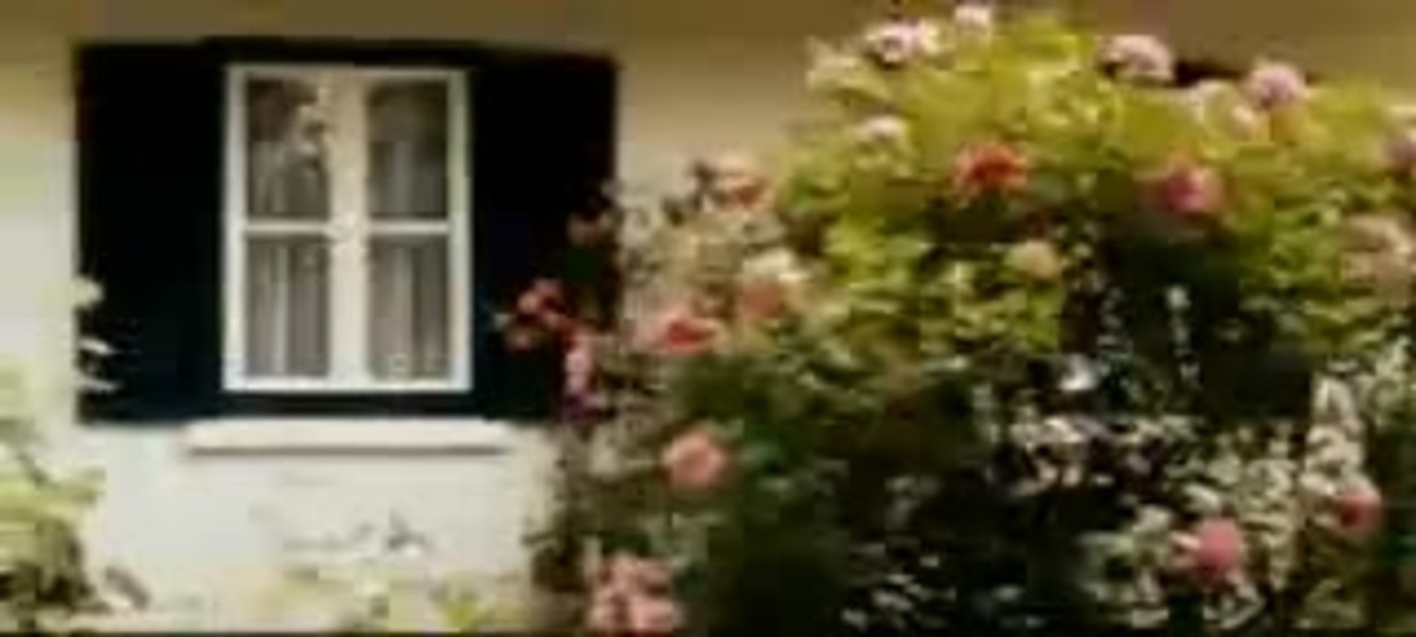 Ob ihr wollt oder nicht -  Trailer