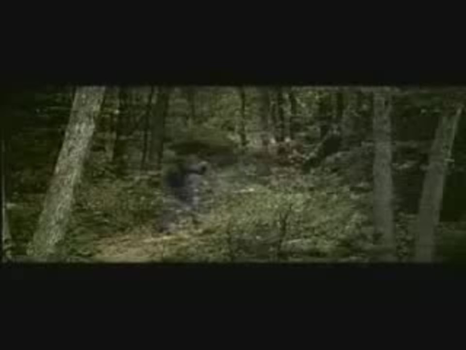 The Last House On The Left