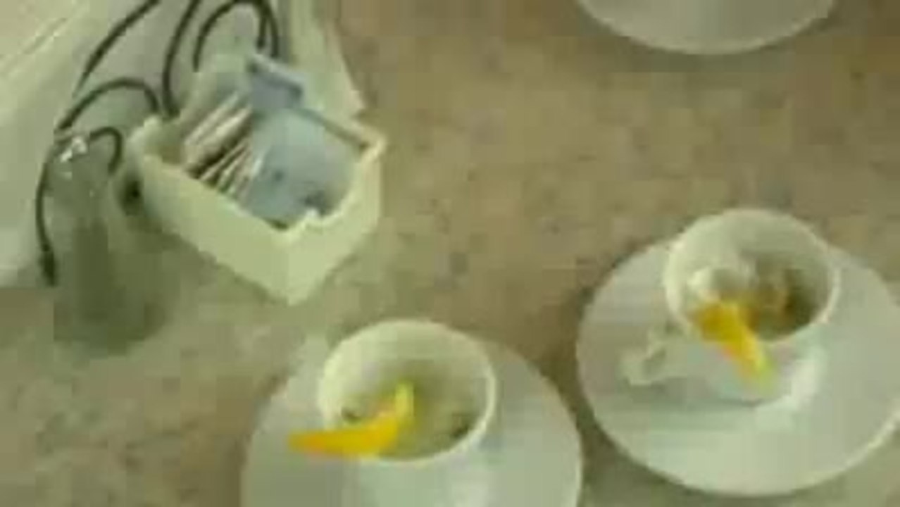 Global City Beats - Trailer 3