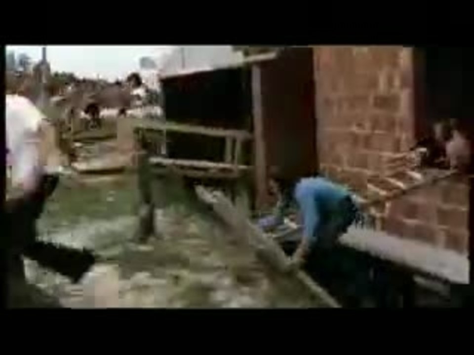 Das fliegende Klassenzimmer - Kampf gegen die 'Realgeier'