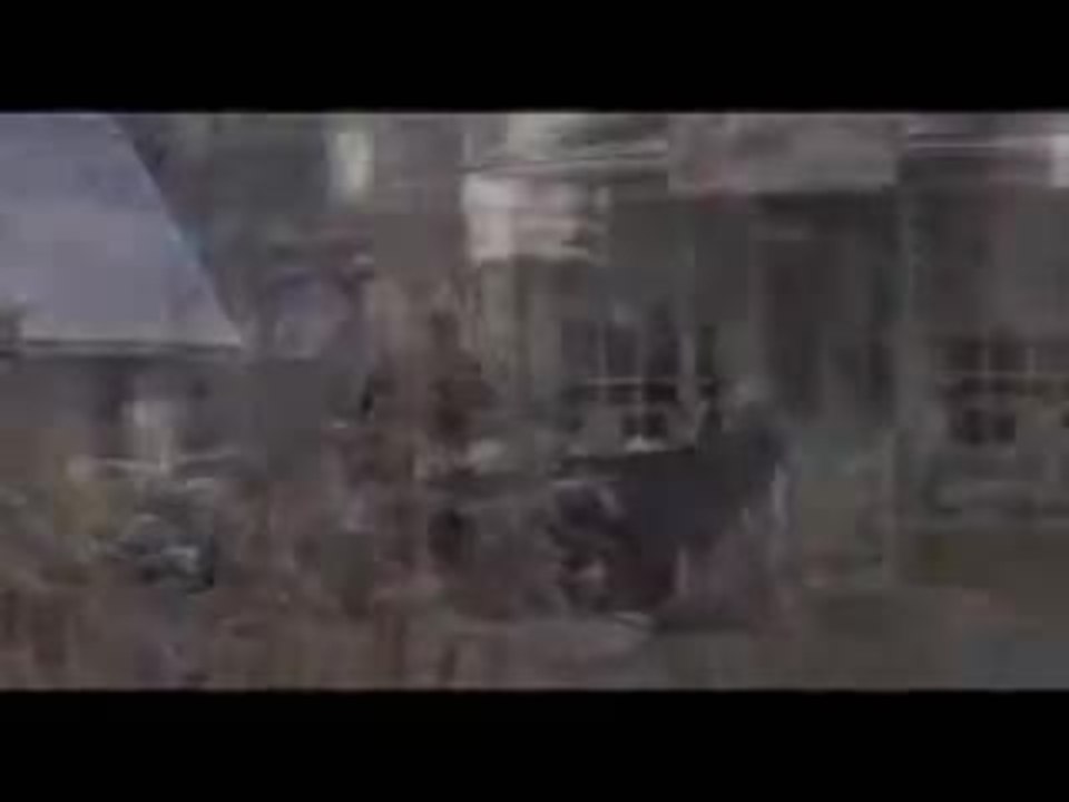 Die VÃ¶gel - Attack From Above