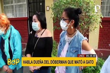 Lince: dueña de doberman que mató a gato dijo estar dispuesta a asumir responsabilidad