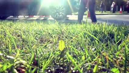 12,000 People Tested for Covid as city-wide Testing Began