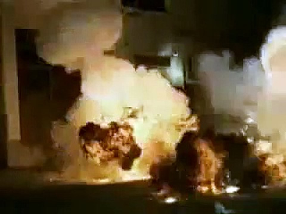 Attack of the Killer Tomatoes Trailer