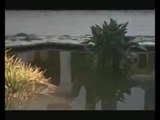 La Piscine (Der Swimming Pool) - Original Trailer