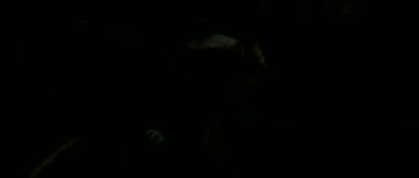 Urmel: Voll in Fahrt - Official Trailer