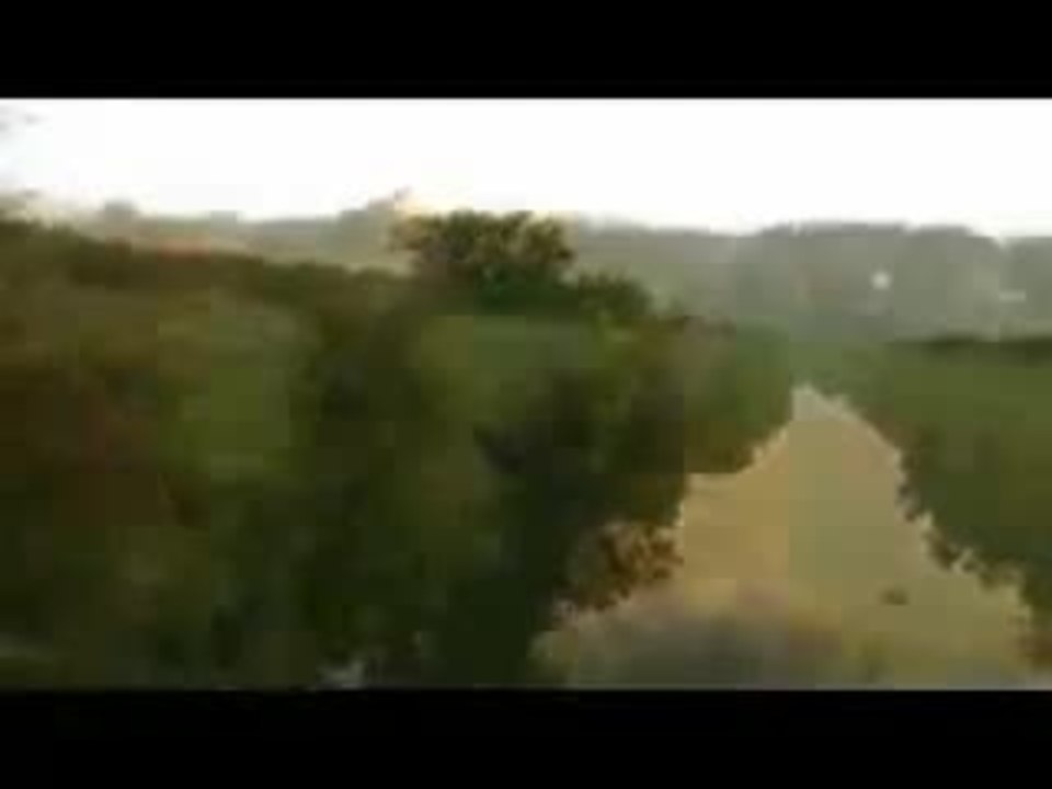 Carver trailer
