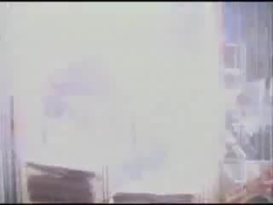 Point of No Return 1993 Trailer