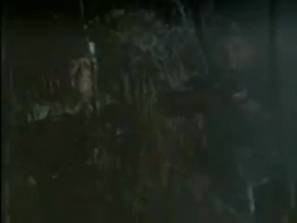 the green berets (1968)