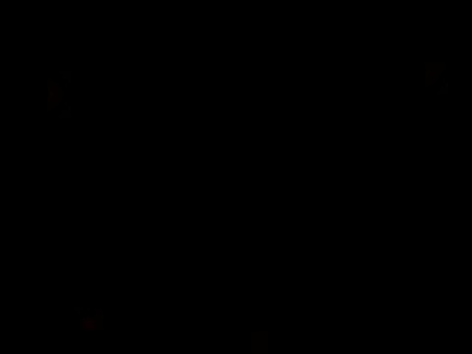 absolute wilson trailer