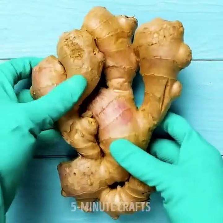 Do it YourSelf Videos 208