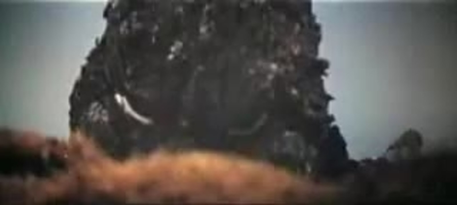 KING KONG GEGEN GODZILLA - Deutscher Trailer