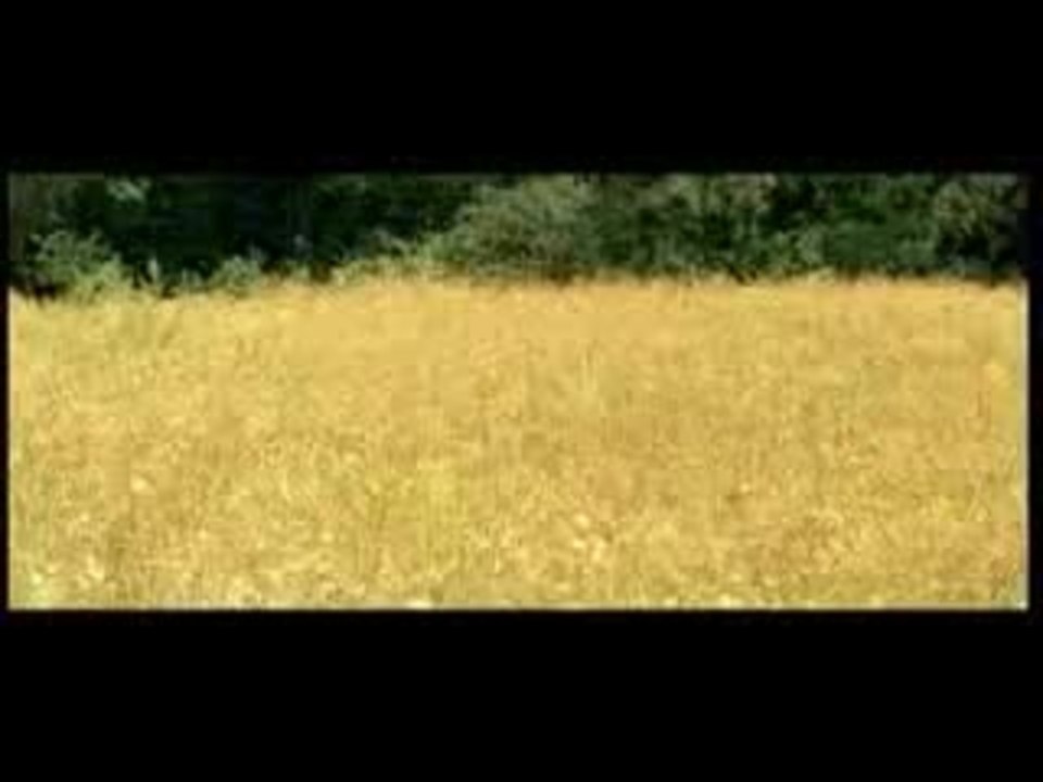 NUNTA_MUTA_TRAILER_05-11-08.mpg