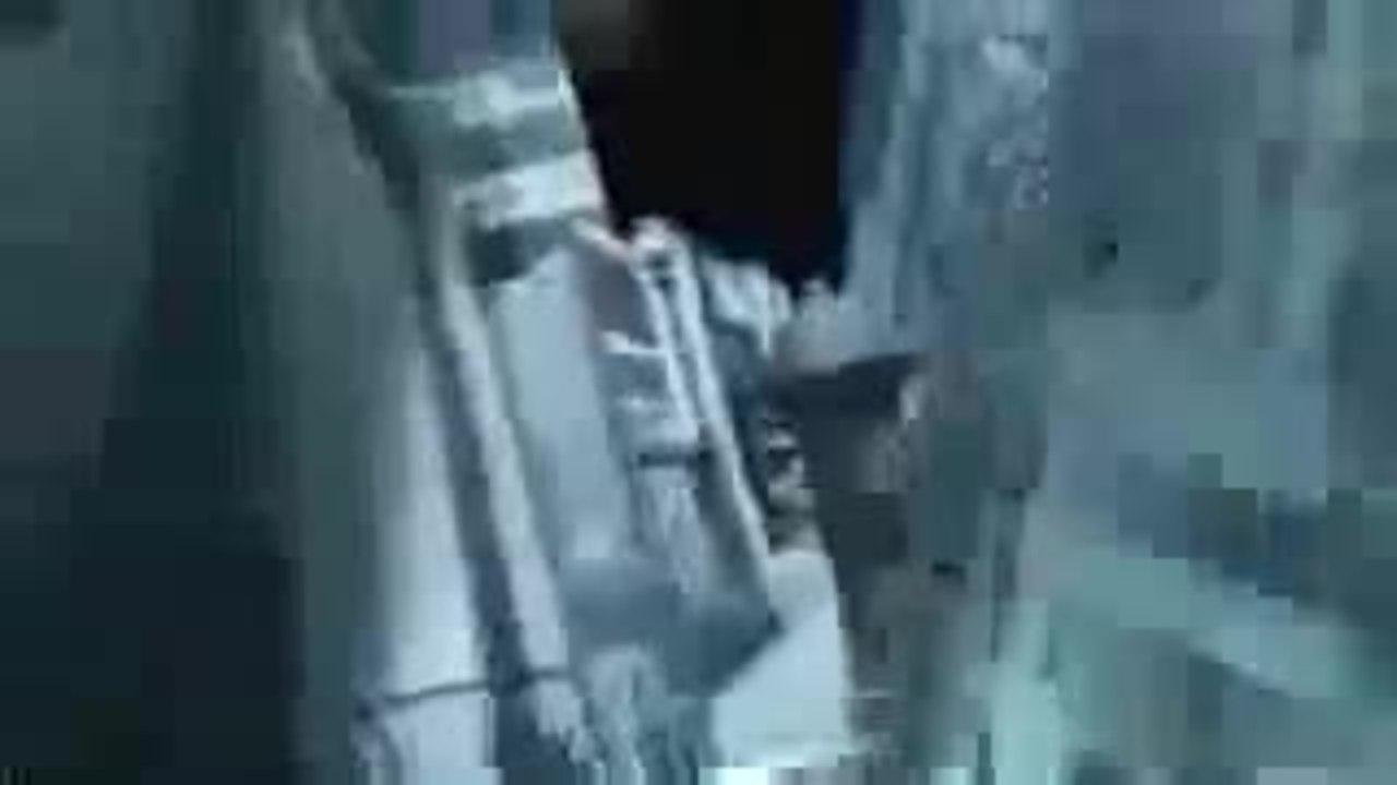 Flipper - Original Trailer 1963