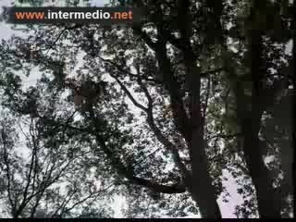 El diablo probablemente Dir. Robert Bresson, 1977