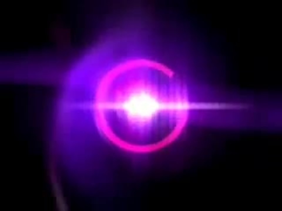 Das Schwert des Shogun