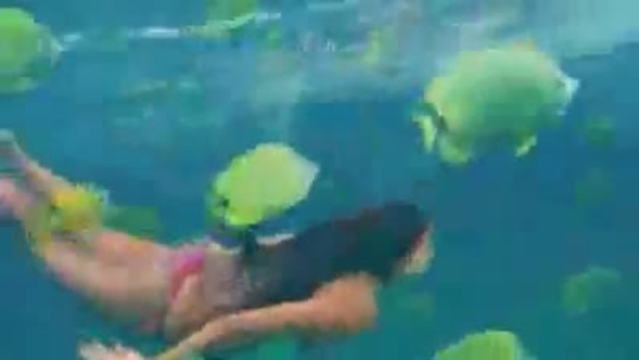 Into the Blue 2: The Reef (2009) HQ trailer