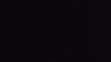 RICKY - Wunder geschehen