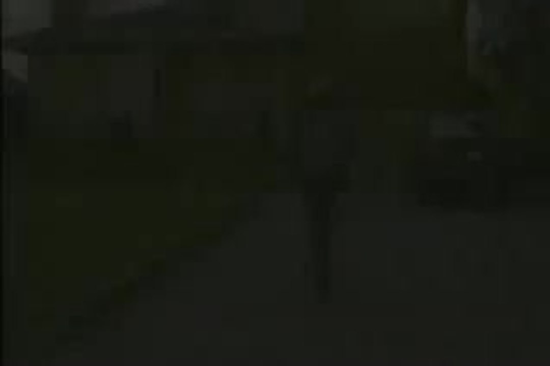 Fear of the Dark Trailer