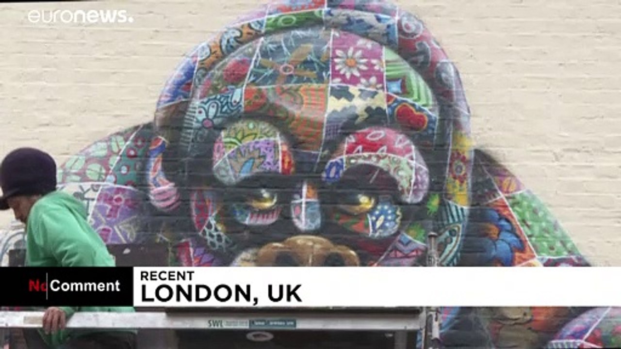 Artist raises awareness of endangered species with colourful murals