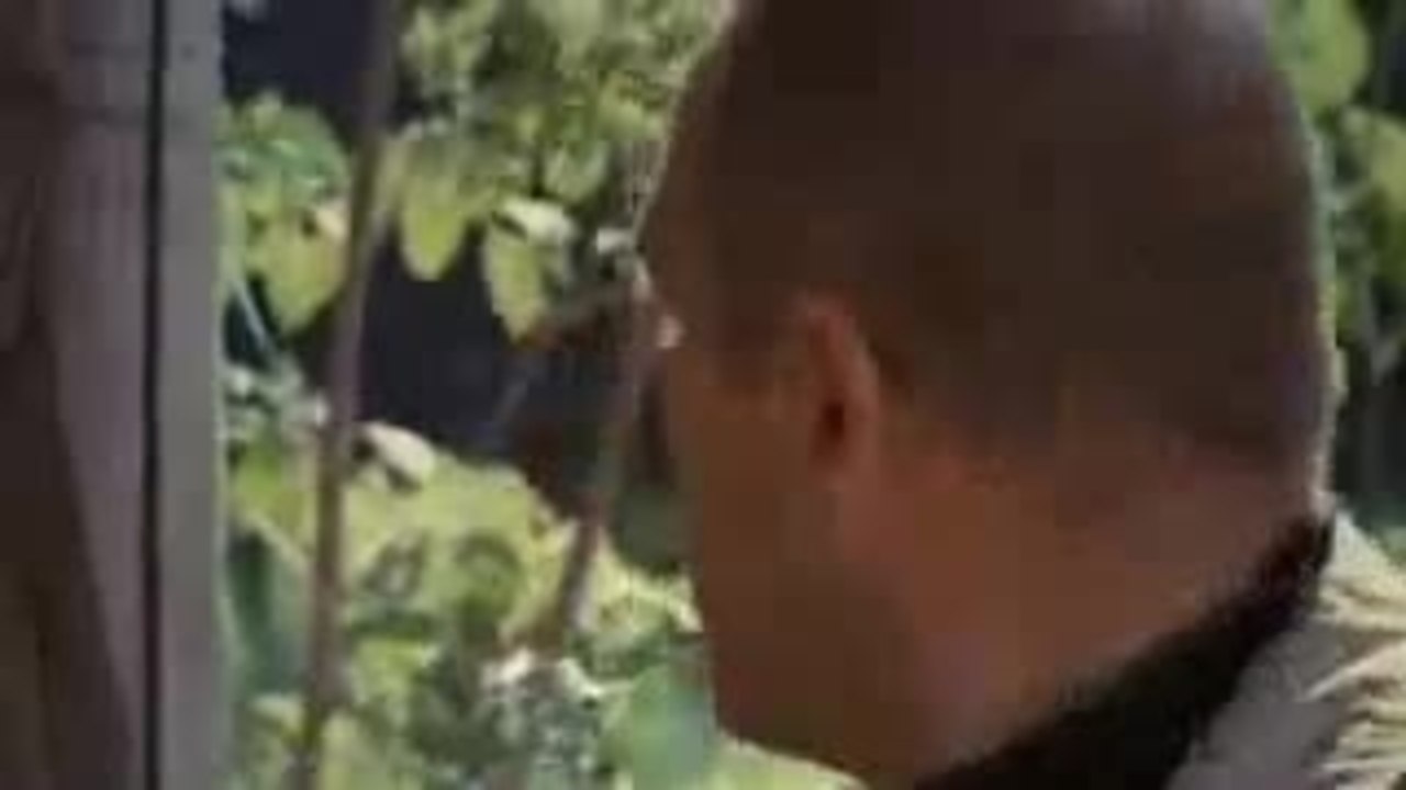 Der Teufel fÃ¼hrt Regie