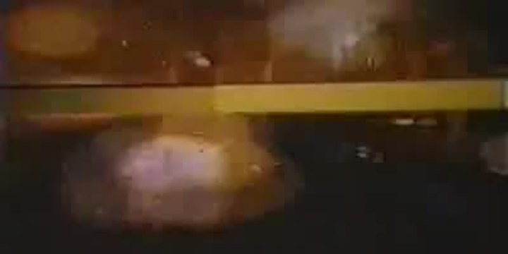 Die Dame im Auto mit Brille und Gewehr