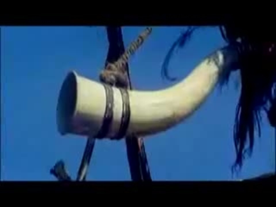 Die Rache der Wikinger