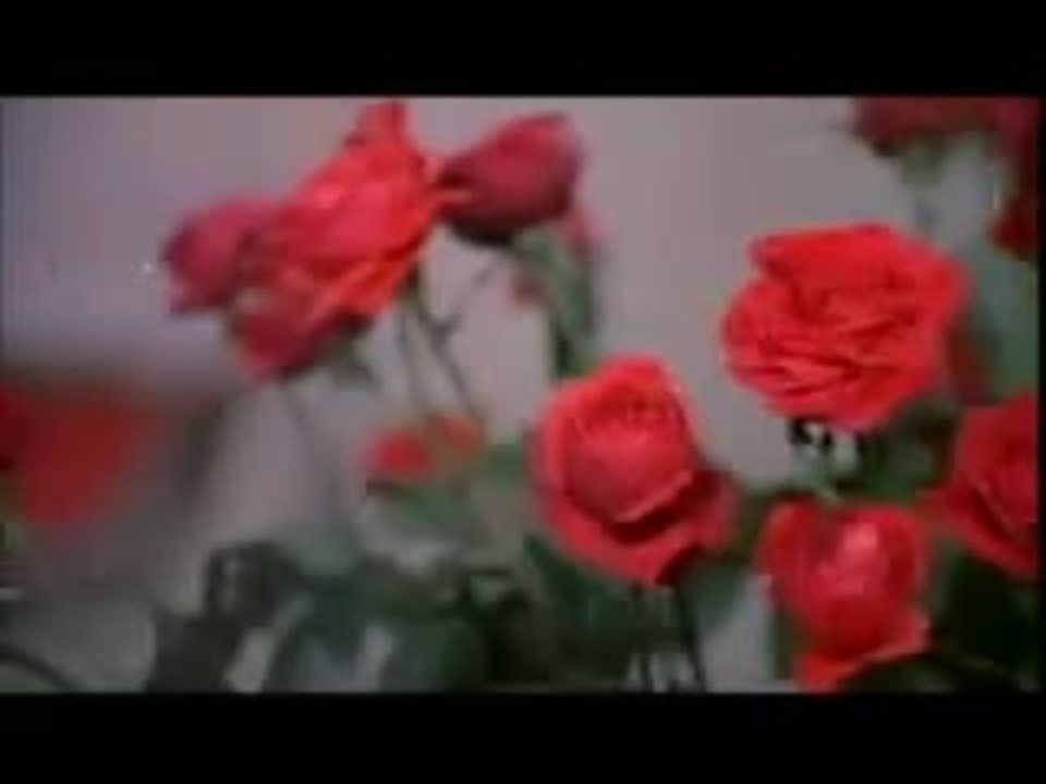 the scarlet lady trailer