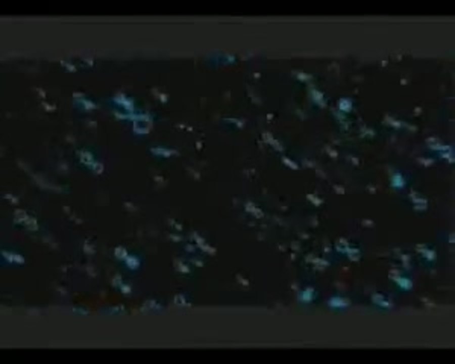 Capitalismo: Una historia de amor - TrÃ¡iler