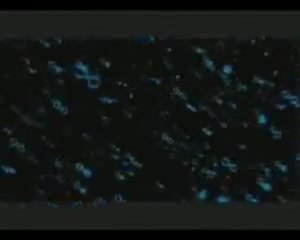 Capitalismo: Una historia de amor - TrÃ¡iler