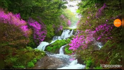 شعر اسلامي كلام مؤثر جدا