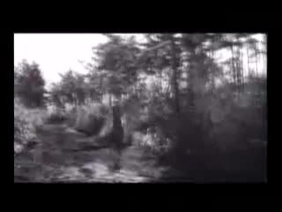 Hidden Fortress Sneak Preview