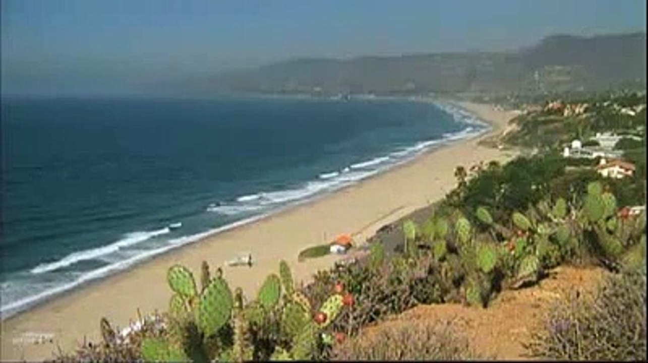 MALIBU SHARK ATTACK bande annonce