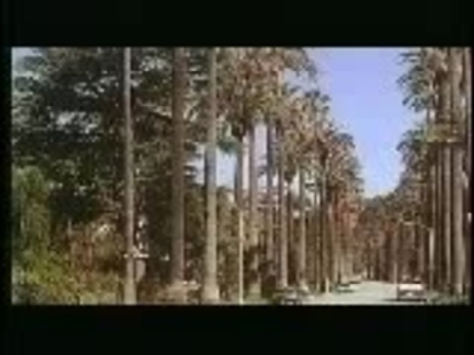 Pterodactyl Woman From Beverly Hills