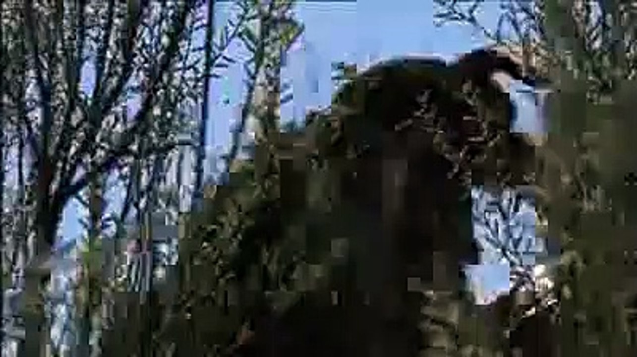 Rottweiler 2004 Trailer
