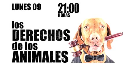 Juan Carlos Monedero y los derechos de los animales - En la Frontera, 9 de noviembre de 2020