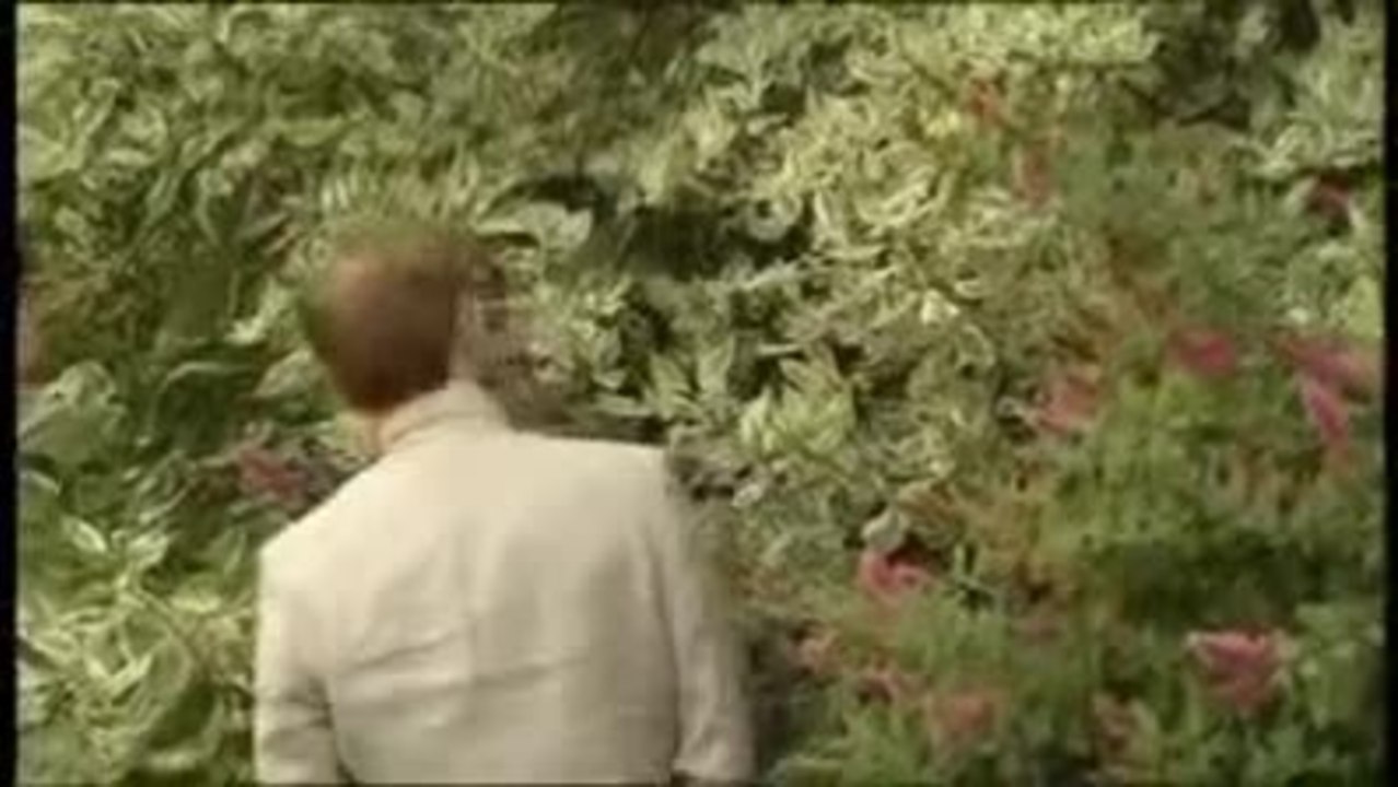 Trailer 'Die GlÃ¼cklichen'