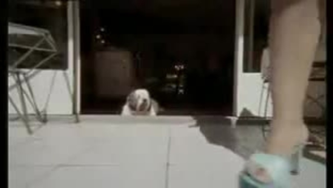 Gordos Reise ans Ende der Welt Trailer