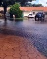#Viral | Vea lo que pescó este hombre en medio de las inundaciones en Miami ( Vídeo)